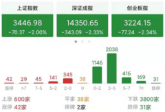 A股午后大逃杀，“基金大跌”冲上热搜，专家：积极因素仍在